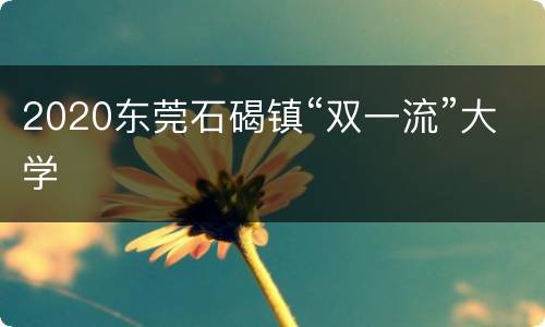 2020东莞石碣镇“双一流”大学