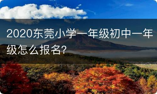2020东莞小学一年级初中一年级怎么报名？