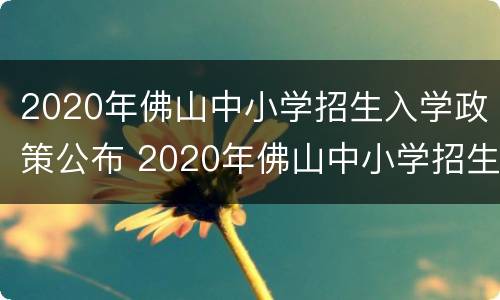 2020年佛山中小学招生入学政策公布 2020年佛山中小学招生入学政策公布会