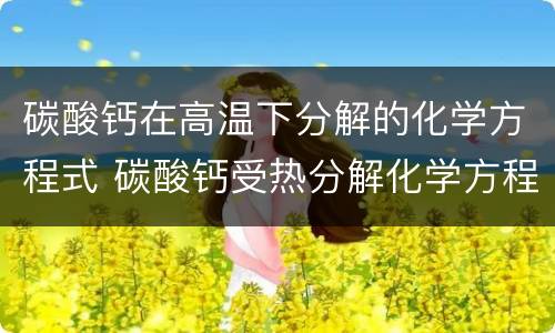 碳酸钙在高温下分解的化学方程式 碳酸钙受热分解化学方程式