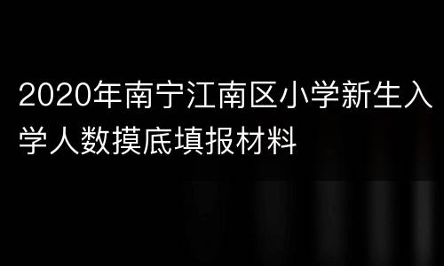 2020年南宁江南区小学新生入学人数摸底填报材料