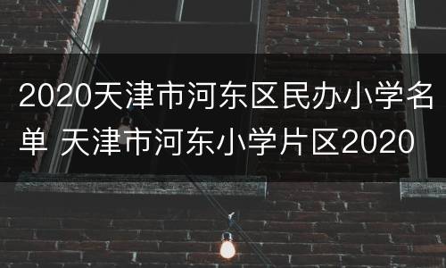 2020天津市河东区民办小学名单 天津市河东小学片区2020