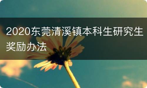 2020东莞清溪镇本科生研究生奖励办法