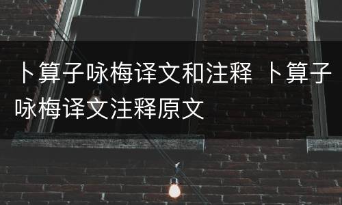 卜算子咏梅译文和注释 卜算子咏梅译文注释原文