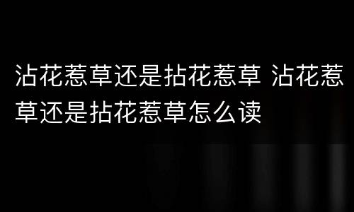沾花惹草还是拈花惹草 沾花惹草还是拈花惹草怎么读