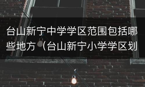 台山新宁中学学区范围包括哪些地方（台山新宁小学学区划分）