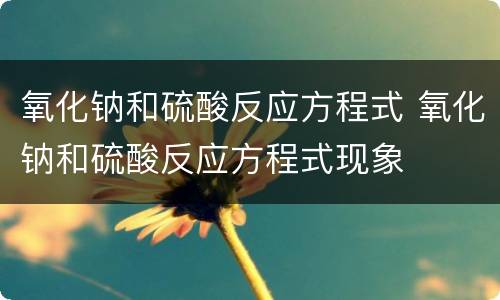 氧化钠和硫酸反应方程式 氧化钠和硫酸反应方程式现象