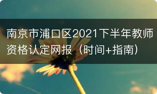 南京市浦口区2021下半年教师资格认定网报（时间+指南）