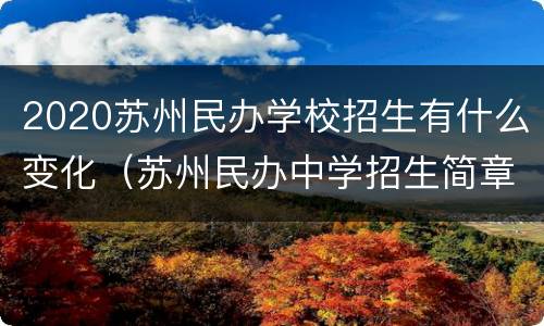 2020苏州民办学校招生有什么变化（苏州民办中学招生简章）