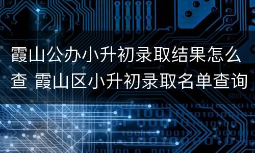 霞山公办小升初录取结果怎么查 霞山区小升初录取名单查询