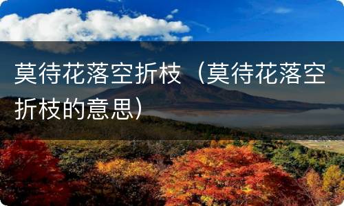 莫待花落空折枝（莫待花落空折枝的意思）