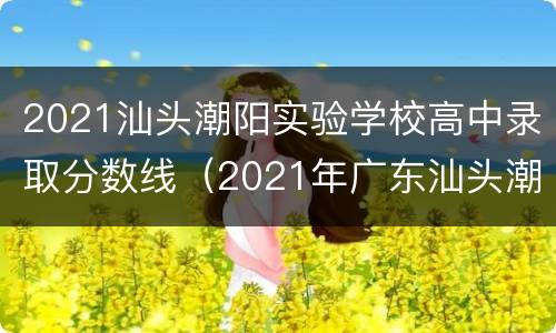 2021汕头潮阳实验学校高中录取分数线（2021年广东汕头潮阳区高中分数线）