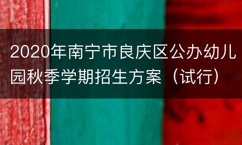 2020年南宁市良庆区公办幼儿园秋季学期招生方案（试行）
