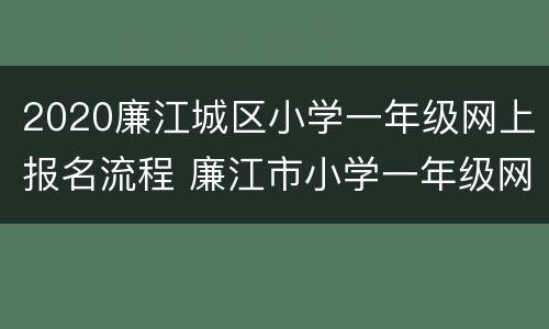 2020廉江城区小学一年级网上报名流程 廉江市小学一年级网上报名