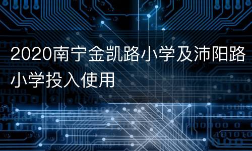 2020南宁金凯路小学及沛阳路小学投入使用