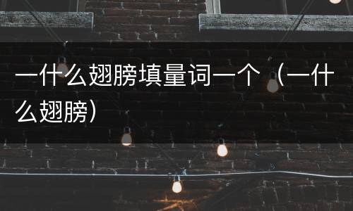 一什么翅膀填量词一个（一什么翅膀）