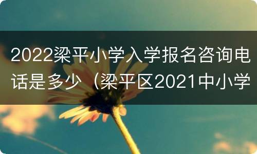 2022梁平小学入学报名咨询电话是多少（梁平区2021中小学招生简章）