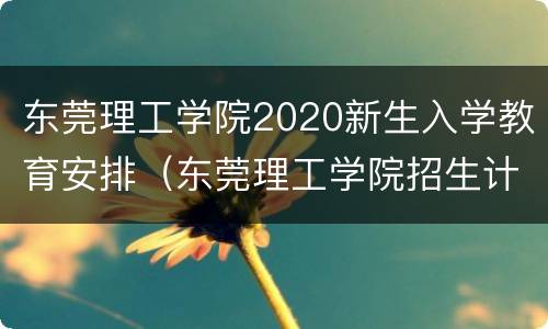 东莞理工学院2020新生入学教育安排（东莞理工学院招生计划2020）