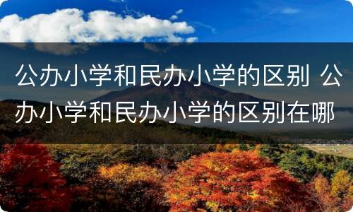 公办小学和民办小学的区别 公办小学和民办小学的区别在哪