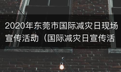 2020年东莞市国际减灾日现场宣传活动（国际减灾日宣传活动方案）