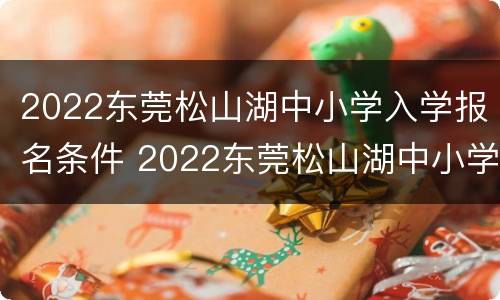 2022东莞松山湖中小学入学报名条件 2022东莞松山湖中小学入学报名条件及时间