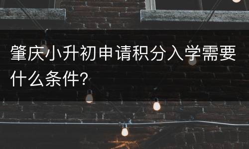 肇庆小升初申请积分入学需要什么条件？