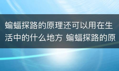 蝙蝠探路的原理还可以用在生活中的什么地方 蝙蝠探路的原理可以用在生活中的什么地方