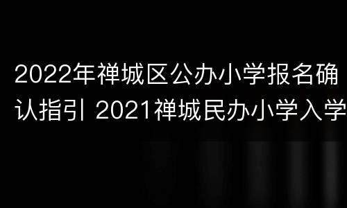 2022年禅城区公办小学报名确认指引 2021禅城民办小学入学报名网站