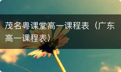 茂名粤课堂高一课程表（广东高一课程表）