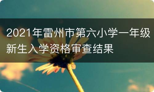 2021年雷州市第六小学一年级新生入学资格审查结果