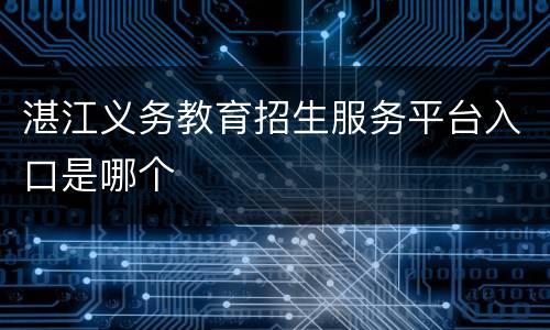 湛江义务教育招生服务平台入口是哪个