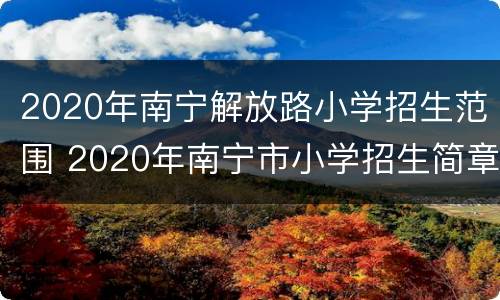 2020年南宁解放路小学招生范围 2020年南宁市小学招生简章