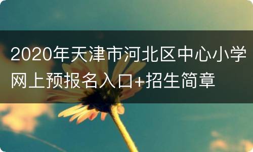 2020年天津市河北区中心小学网上预报名入口+招生简章