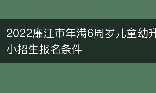 2022廉江市年满6周岁儿童幼升小招生报名条件