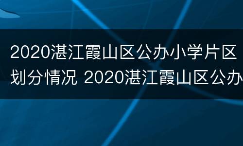 2020湛江霞山区公办小学片区划分情况 2020湛江霞山区公办小学片区划分情况表