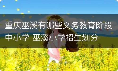 重庆巫溪有哪些义务教育阶段中小学 巫溪小学招生划分