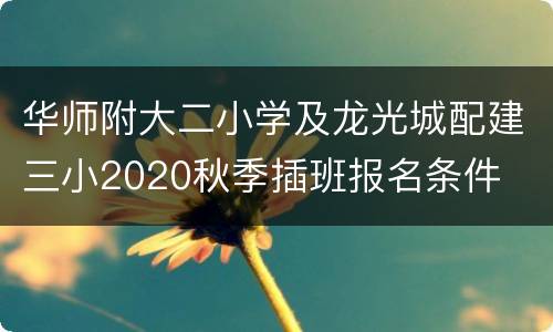 华师附大二小学及龙光城配建三小2020秋季插班报名条件