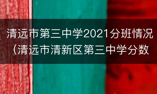 清远市第三中学2021分班情况（清远市清新区第三中学分数线2021）