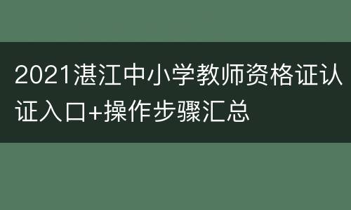 2021湛江中小学教师资格证认证入口+操作步骤汇总