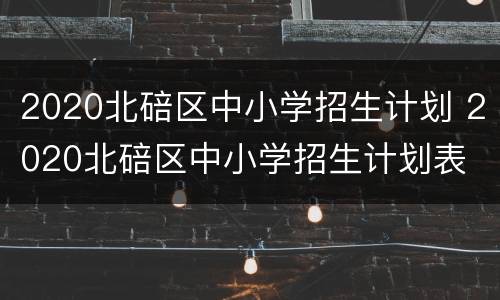 2020北碚区中小学招生计划 2020北碚区中小学招生计划表