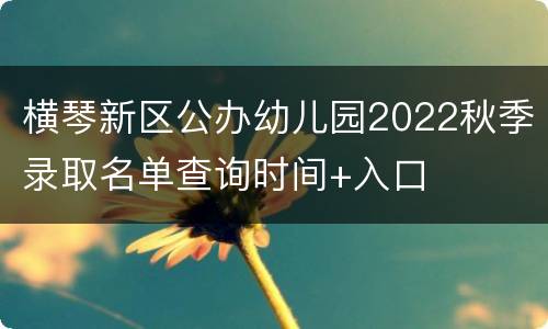 横琴新区公办幼儿园2022秋季录取名单查询时间+入口