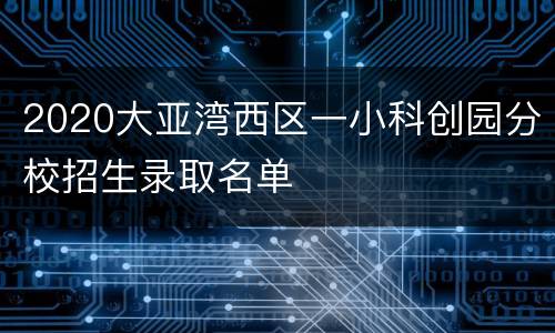 2020大亚湾西区一小科创园分校招生录取名单