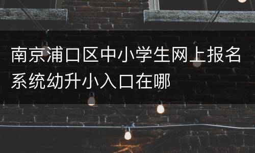 南京浦口区中小学生网上报名系统幼升小入口在哪