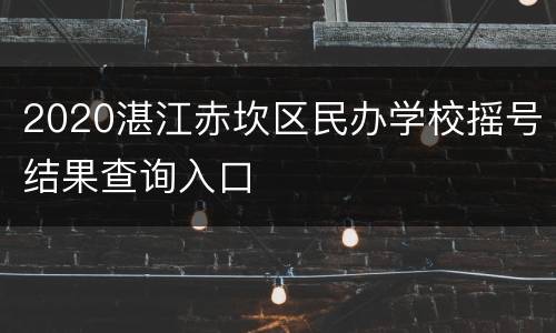 2020湛江赤坎区民办学校摇号结果查询入口