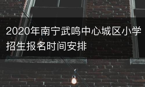 2020年南宁武鸣中心城区小学招生报名时间安排