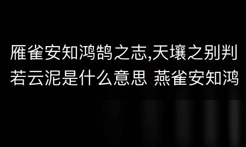雁雀安知鸿鹄之志,天壤之别判若云泥是什么意思 燕雀安知鸿鹄之志