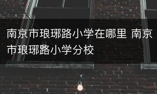 南京市琅琊路小学在哪里 南京市琅琊路小学分校
