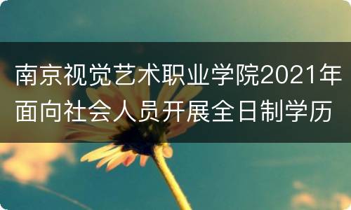 南京视觉艺术职业学院2021年面向社会人员开展全日制学历教育招生计划+报考条件