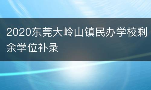 2020东莞大岭山镇民办学校剩余学位补录