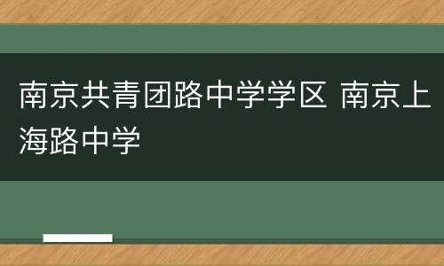 南京共青团路中学学区 南京上海路中学